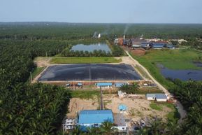 Pengolahan Limbah Sawit Menjadi Energi Biogas: Solusi Berkelanjutan untuk Industri Kelapa Sawit?