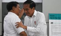 Ahmad Muzani Bilang Prabowo Bakal Lanjutkan Pembangunan IKN Nusantara Jika Terpilih Jadi Presiden