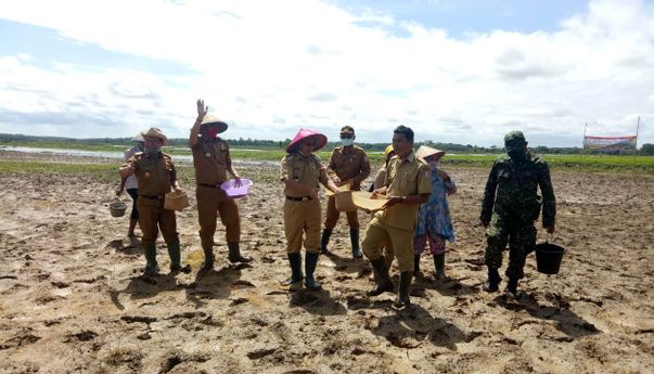 Pemerintah Kabupaten Banyuasin Komitmen Manfaatkan Lahan Tidur