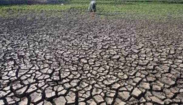 Siasati Ratusan Mata Air yang Mati, Pemkab Temanggung Canangkan Program Sabuk Gunung Senilai Rp 9 Miliar