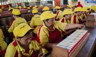 Berdampak pada Warga Sekitar, Sampoerna Minta Pemerintah Tak Naikkan Cukai