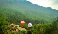 Tempat Wisata Hutan Pinus Bandung yang Cocok Untuk Camping Keluarga