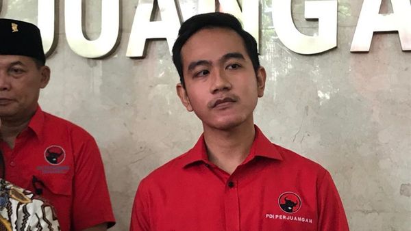 Gibran Rakabuming Raka Dapat Skor Survei Melejit Untuk Jadi Gubernur Jakarta: “Fokus di Solo Dulu”