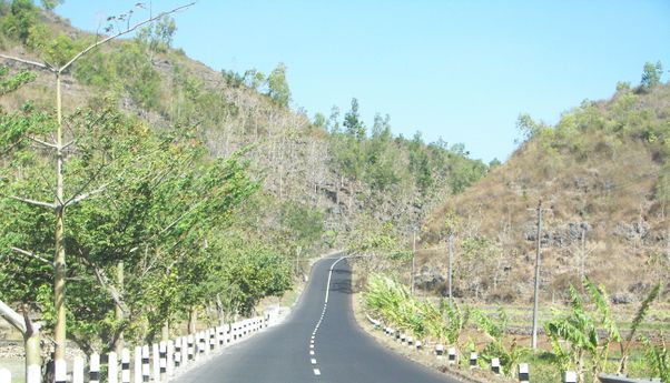 Nazar, Pedagang Siomai di Gunungkidul Nekat Merangkak di Jalan Aspal Sejauh 25 Km karena Calonnya Unggul di Pilkada