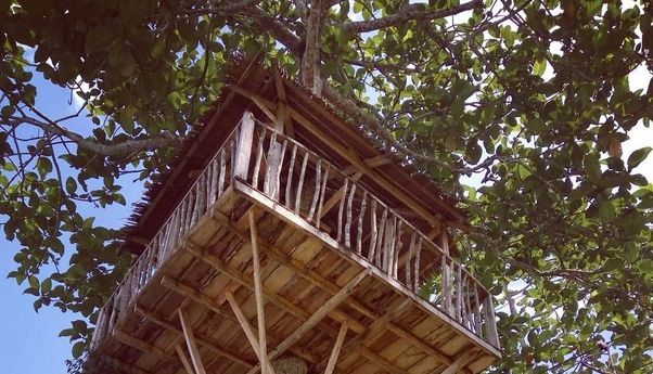 Rumah Pohon Laing Park, Destinasi Wisata Solok Penuh Kesegaran