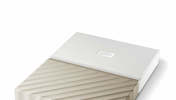 Rekomendasi Hardisk Eksternal Terbaik