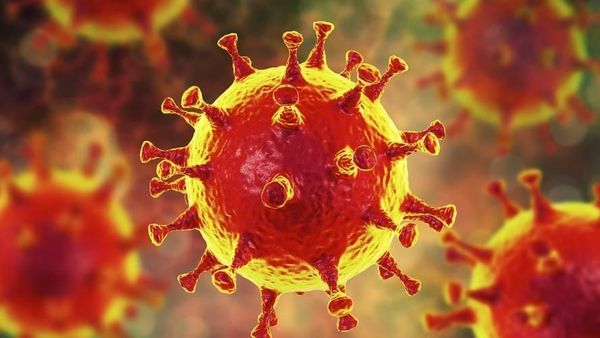 Kabar Gembira! Para Ilmuan Temukan Kelemahan Virus Corona