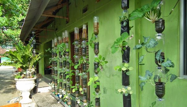 Bupati Purbalingga Ajak Masyarakat Kreatif, Tanam Sayuran di Pekarangan