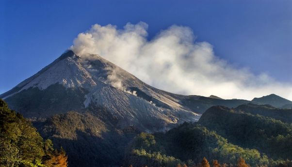 Kabar Terkini Gunung Merapi: Asap Putih dan Guguran Material Terlihat