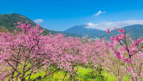 Rekomendasi  6 Tempat Wisata di Taiwan