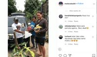 Viral Pria Barter Avanza dengan Tanaman, Netizen: Promosi Jualan Kembang