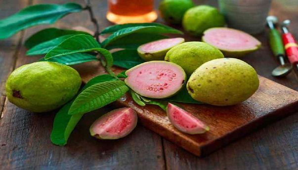 Wajib Tahu! Manfaat Daun Jambu Biji untuk Kesehatan Keluarga