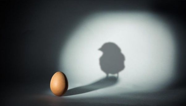 Ilmuwan Ini Pecahkan Teka-teki yang Tak Pernah Terjawab Ayam atau Telur Duluan?