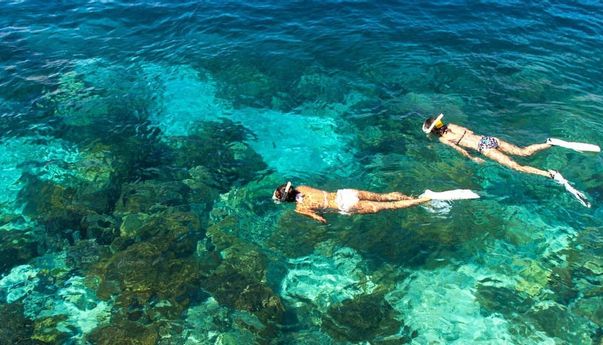 Lokasi Snorkling di Indonesia yang Patut Dicoba