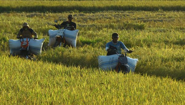 Sejarah Hari Tani Nasional dan Makna di Balik Perayaannya