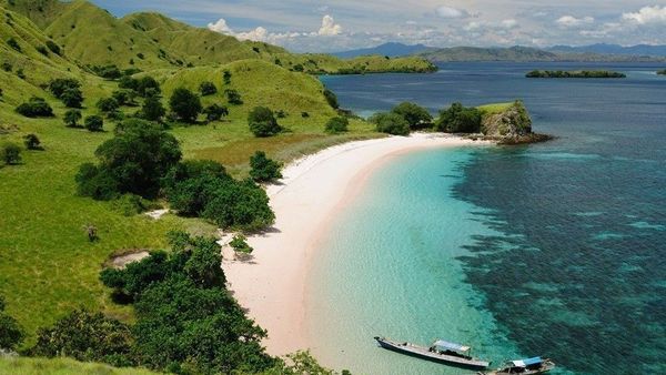 Tidak Hanya Indah di Permukaan, Pantai Celukan Bawang, Bali Kaya akan Biota Laut