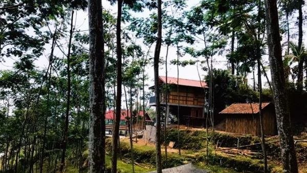 Fakta Menarik Rumah Hutan Dodit Mulyanto