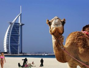 Terbaru: Uni Emirat Arab Blokir Visa untuk 13 Negara Muslim