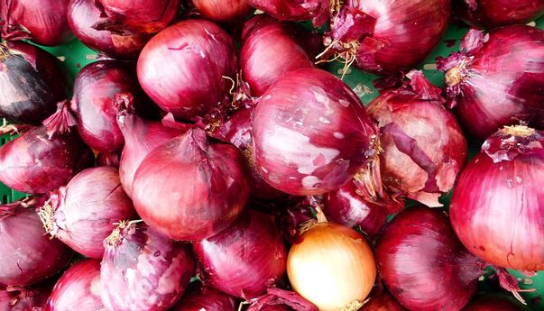 Inilah Beragam Manfaat Kulit Bawang Merah untuk Tanaman yang Jarang Diketahui