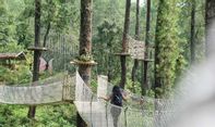 Harga Tiket Orchid Forest Lembang di Bandung yang Mengoleksi Bunga Anggrek Langka