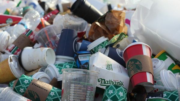Ingin Bebas dari Sampah, Desa di Bantul Ini Luncurkan Aplikasi Juru Sampah