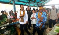 Pemekaran Papua Disetujui DPD RI, Waketum: Idealnya Papua Dibagi 7