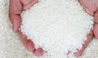 Food Station Tjipinang Jaya Distribusikan 1.000 Ton Beras ke Jabodetabek untuk Stabilkan Harga dan Stok