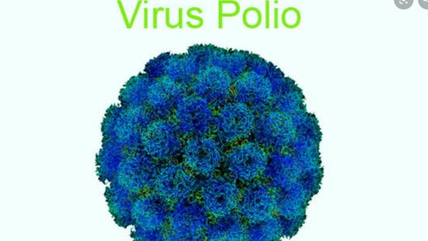 Alasan Virus Polio Dapat Ditemukan di Limbah Manusia, Simak Penjelasannya!