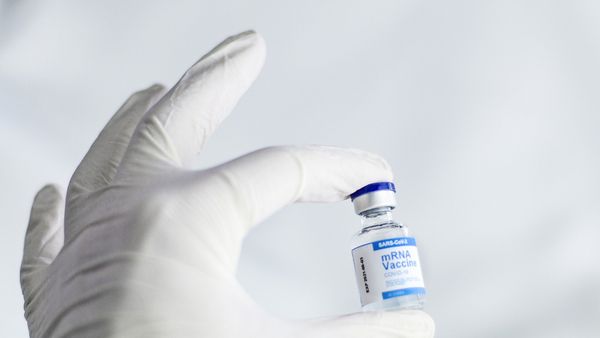 Segala Informasi Tentang Penjualan Vaksin Gotong Royong di Kimia Farma
