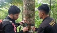 Makhluk Misterius Hitam dan Berbau Busuk Bikin Geger Sumatra Barat