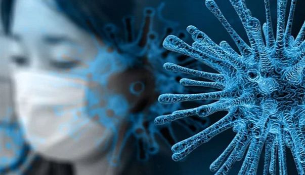 Sudah Coba Aplikasi Pemantau Virus Corona?