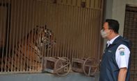 BPK Temukan Hal Mencurigakan di Kantornya Anies Baswedan, Setelah Diperiksa Ada Pemborosan Saat Beli Masker