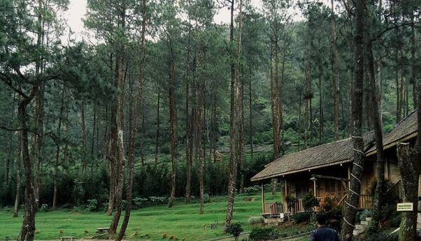 Berburu Udara Segar di Vanaprastha Gedong Songo Park Banyukuning, Semarang