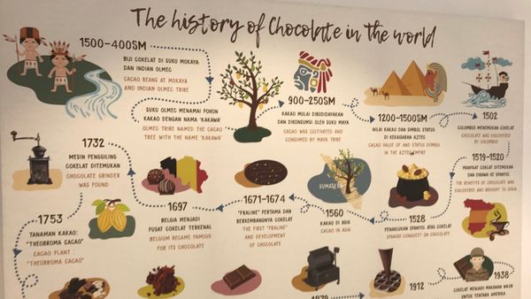 Tahukah Anda Sejarah Cokelat Masuk Indonesia?