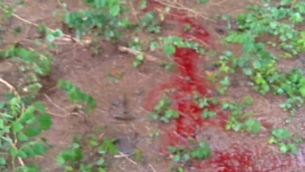 Air Warna Merah Darah Menyembur dari Tanah, Warga Pudungrejo Geger
