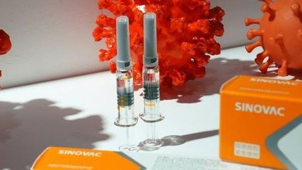 Penjelasan Komnas KIPI Soal Vaksin Covid-19 Sinovac Diperuntukkan Bagi Ayam