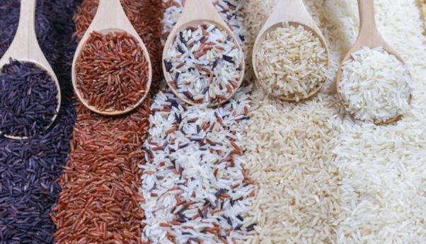 3 Jenis Nasi Untuk Diet Ini Sangat Sehat dan Telah Teruji Secara Penelitian Sains