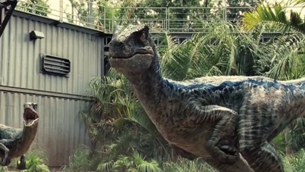 Bayi Dinosaurus Muncul di Rekaman CCTV Sedang Berlari di Halaman Rumah, Benarkah?