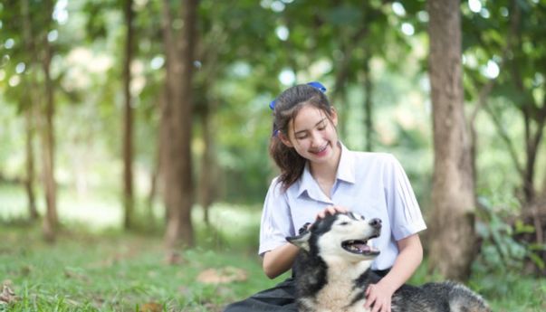 Kisah Anjing Heroik yang Mati Setelah Selamatkan Keluarga dari Serangan Ular Kobra