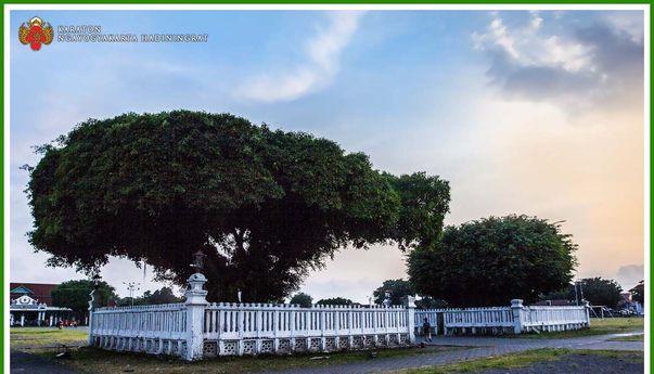 Alun-Alun Utara Jogja di Kelilingi Pagar Besi, Ini Alasannya!