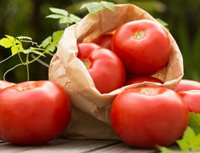Ilmiah! Penelitian Temukan Makan Tomat Bisa Cegah Kulit Rusak Terbakar Matahari
