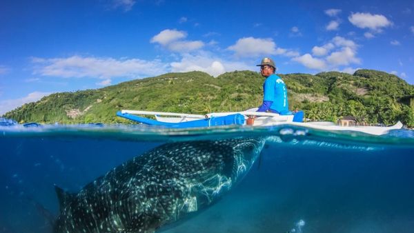 Daftar Destinasi Wisata Gorontalo Unik yang Wajib Kamu Kunjungi