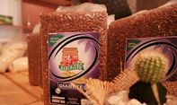Inilah Perbedaan Padi Beras Merah, Beras Putih, Beras Coklat, dan Beras Hitam