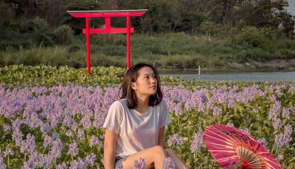 Kalinampu Natural Park di Desa Seloharjo, Wisata Jogja ala Jepang yang Instagramable
