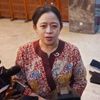 Soroti Beras Oplosan, Puan Minta Pemerintah Tindak Tegas Mafia Beras