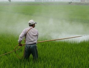 Selain Ramah Lingkungan, Pestisida Nabati juga Komoditas Besar di Indonesia