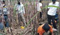 Heboh Temuan Kerangka Manusia di Ladang Tebu Malang, Diduga ODGJ yang Kelaparan