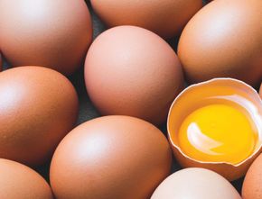 Hati-hati! Ini 5 Efek Samping Jika Terlalu Banyak Makan Telur Ayam