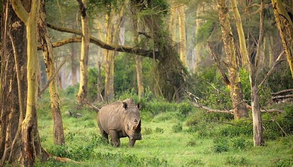 3 Rekomendasi Tempat Wisata Pandeglang Banten Terfavorit