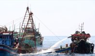 Kapal Asing Thailand dan Vietnam Disebut Makin Berani Jarah Ikan di Laut Natuna